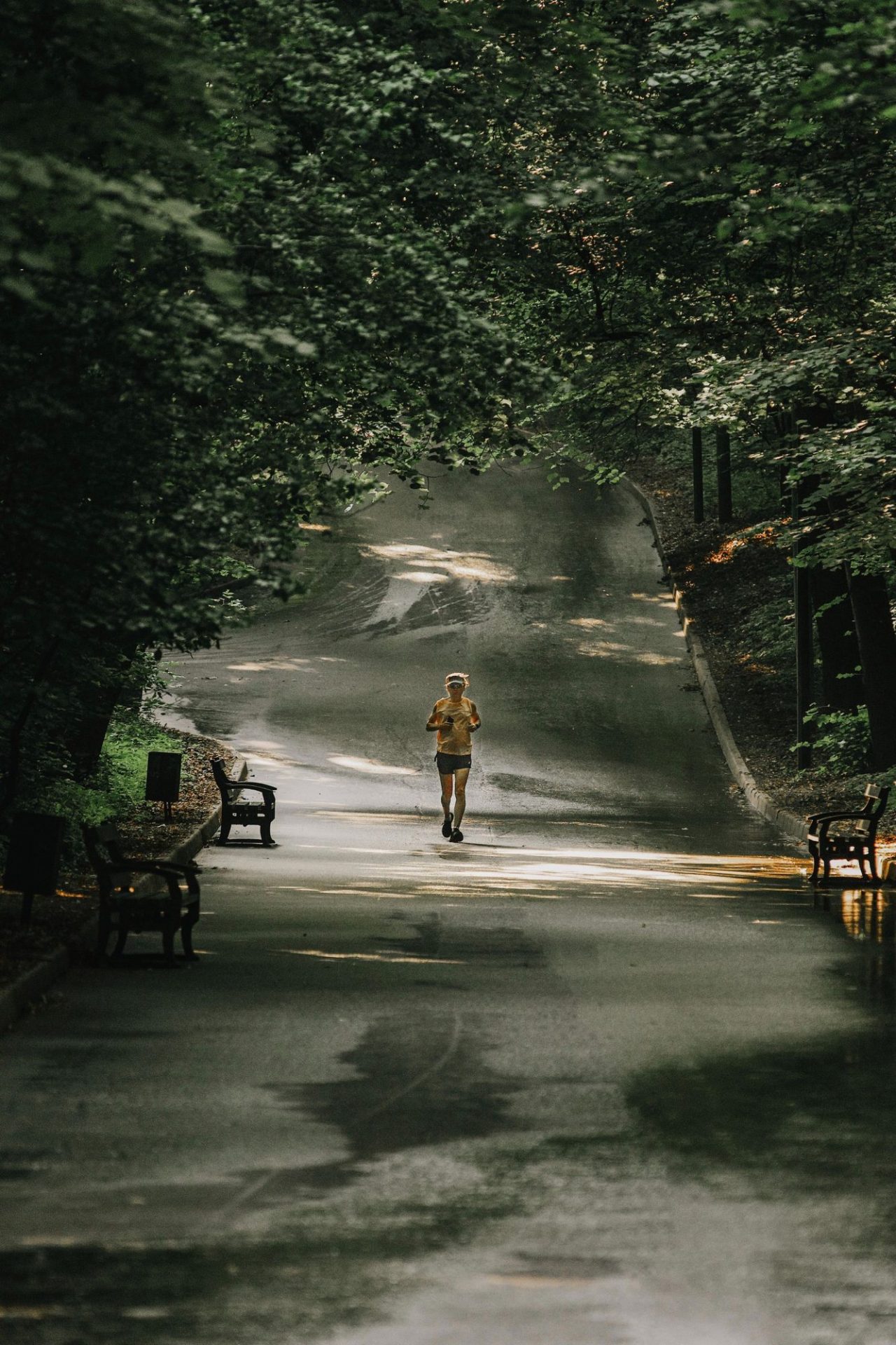 A lone runner on a shaded, tree-lined path in a park