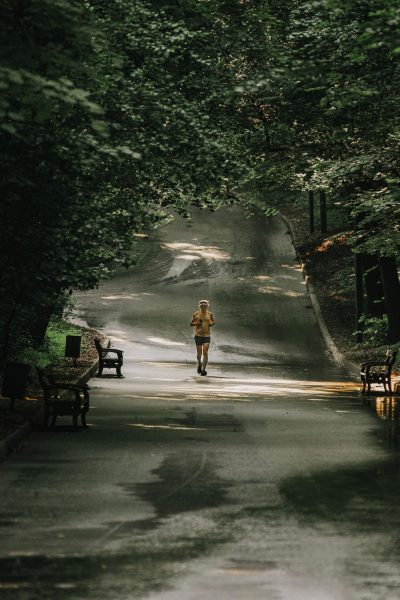 A lone runner on a shaded, tree-lined path in a park