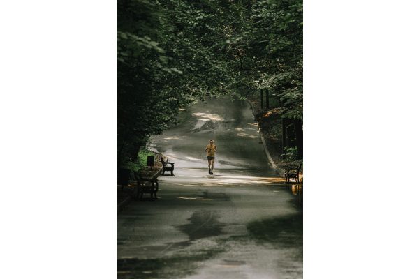 A lone runner on a shaded, tree-lined path in a park