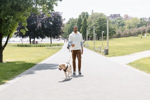 A man in a white jumper walking his golden dog along a sunny park path